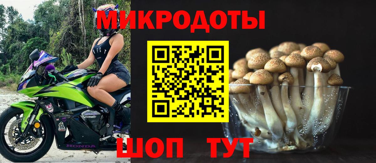 Галлюциногенные грибы MAGIC MUSHROOMS  Галлюциногенные грибы Psilocybe  Вход с VPN  даркнет сайт  Сунжа 